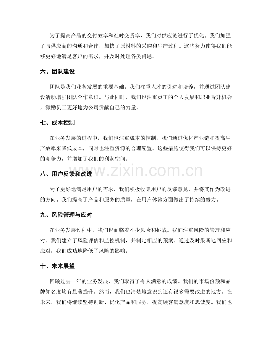 业务发展策略的年终总结.docx_第2页