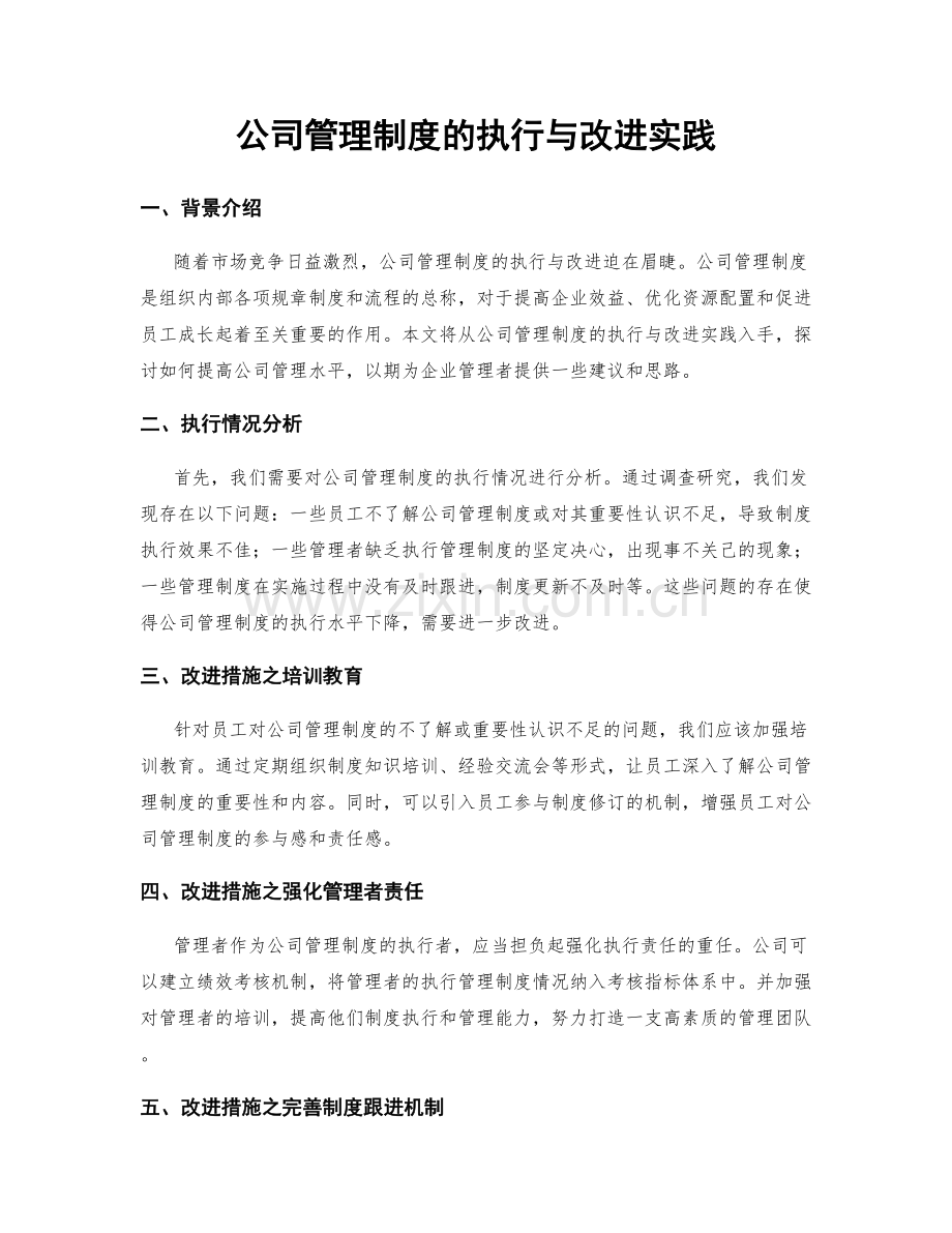 公司管理制度的执行与改进实践.docx_第1页