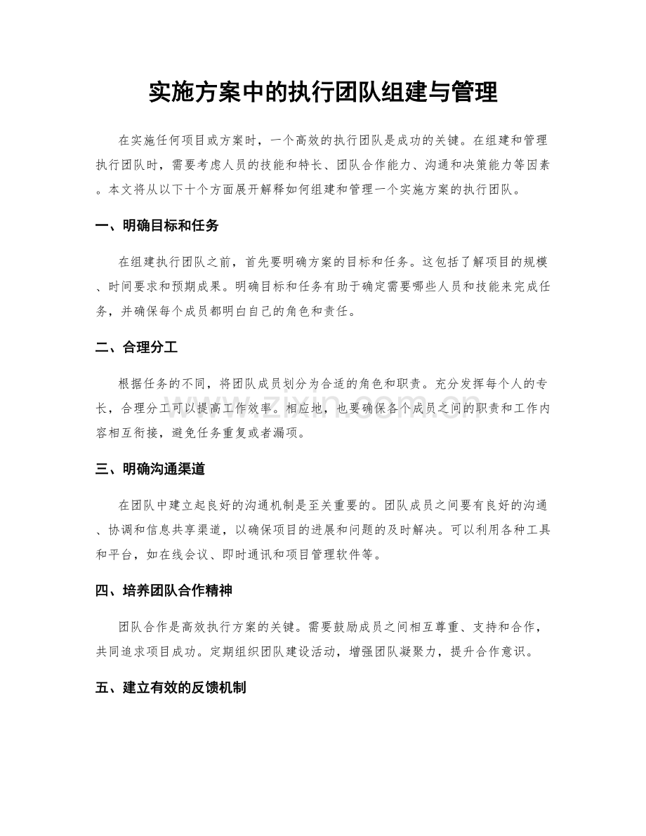 实施方案中的执行团队组建与管理.docx_第1页