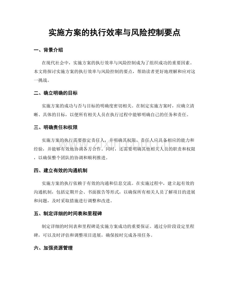 实施方案的执行效率与风险控制要点.docx_第1页