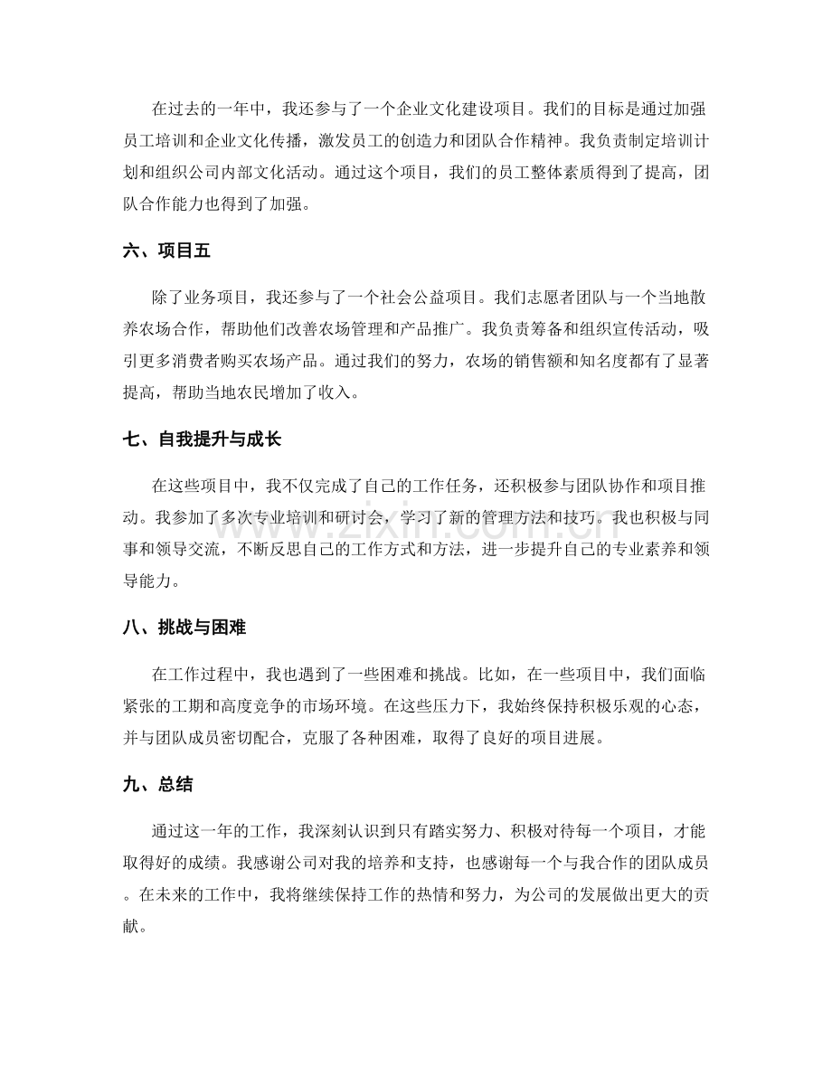 详尽清晰工作报告.docx_第2页