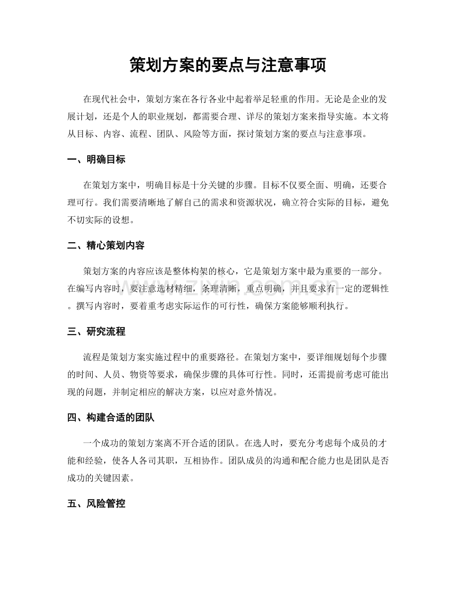 策划方案的要点与注意事项.docx_第1页