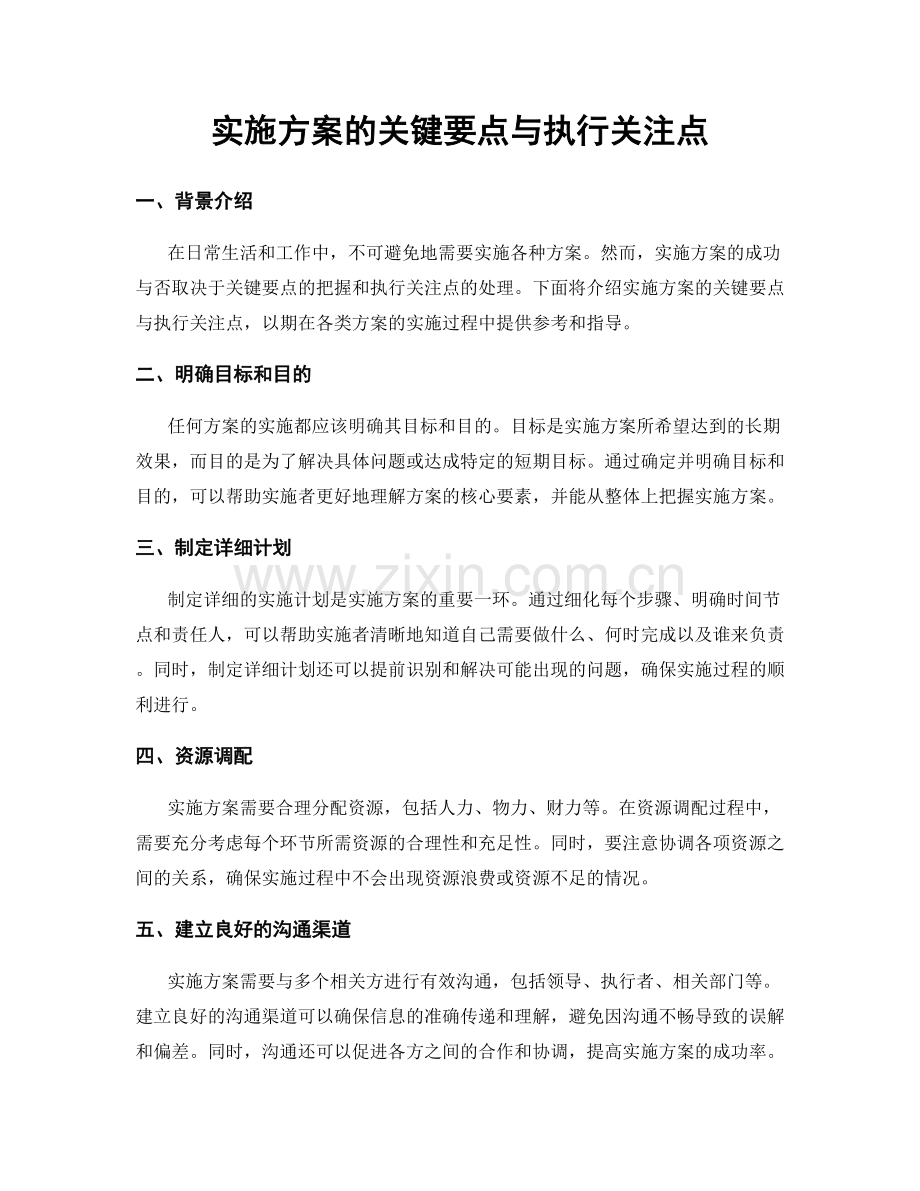 实施方案的关键要点与执行关注点.docx_第1页