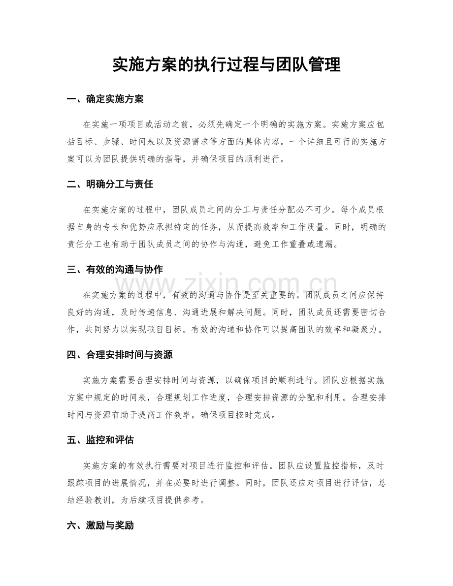 实施方案的执行过程与团队管理.docx_第1页