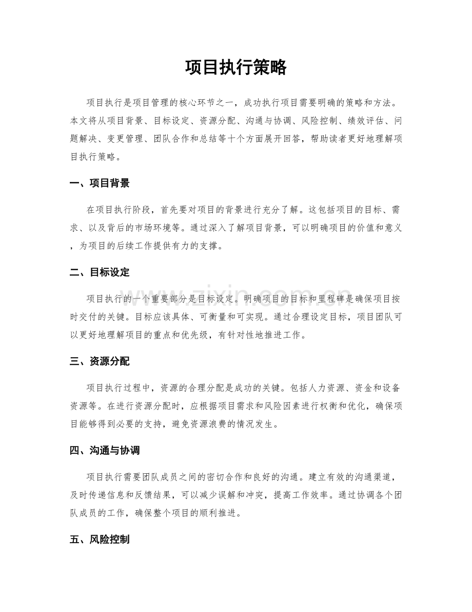 项目执行策略.docx_第1页