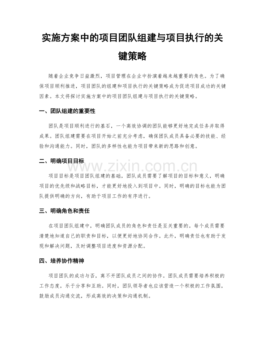 实施方案中的项目团队组建与项目执行的关键策略.docx_第1页