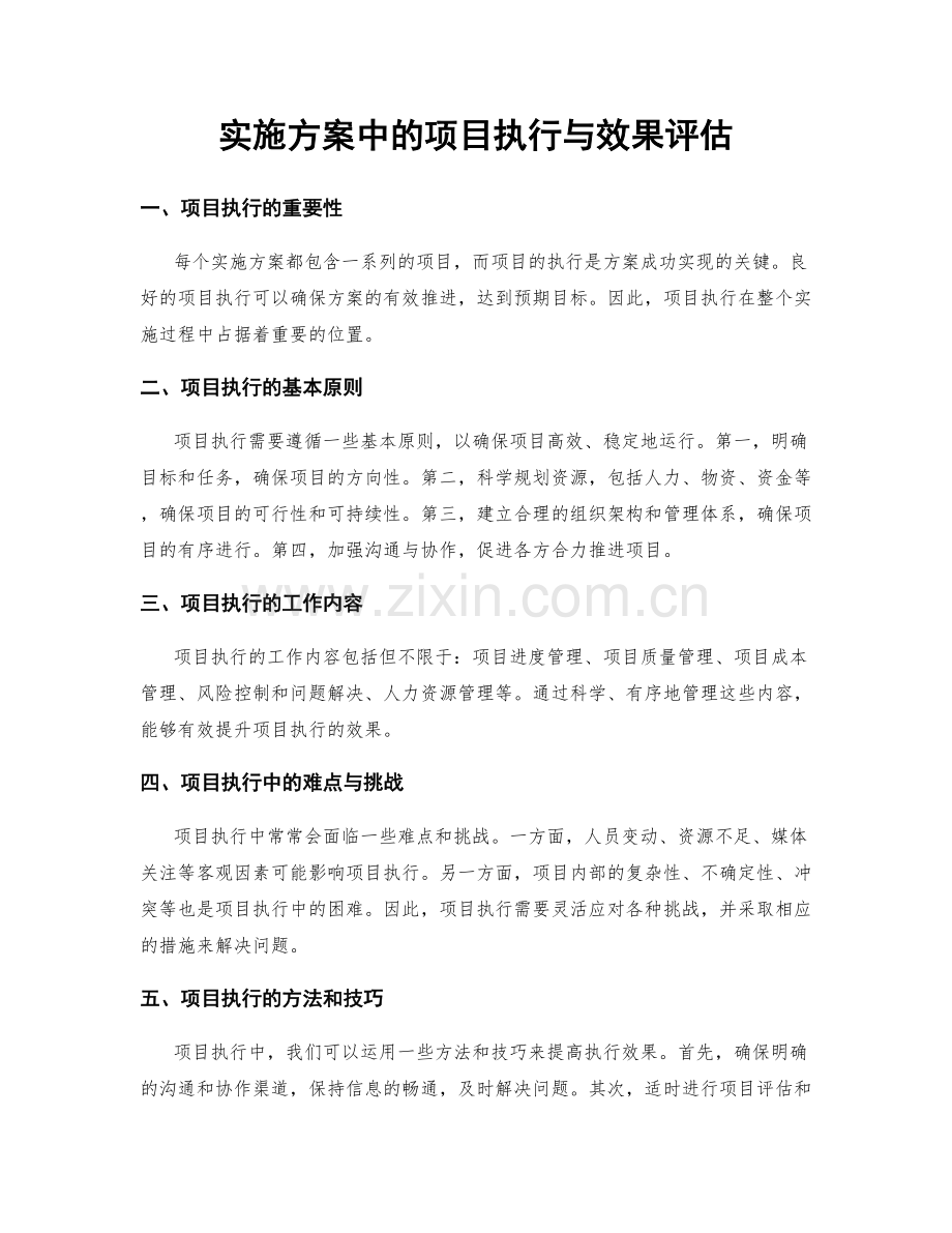 实施方案中的项目执行与效果评估.docx_第1页