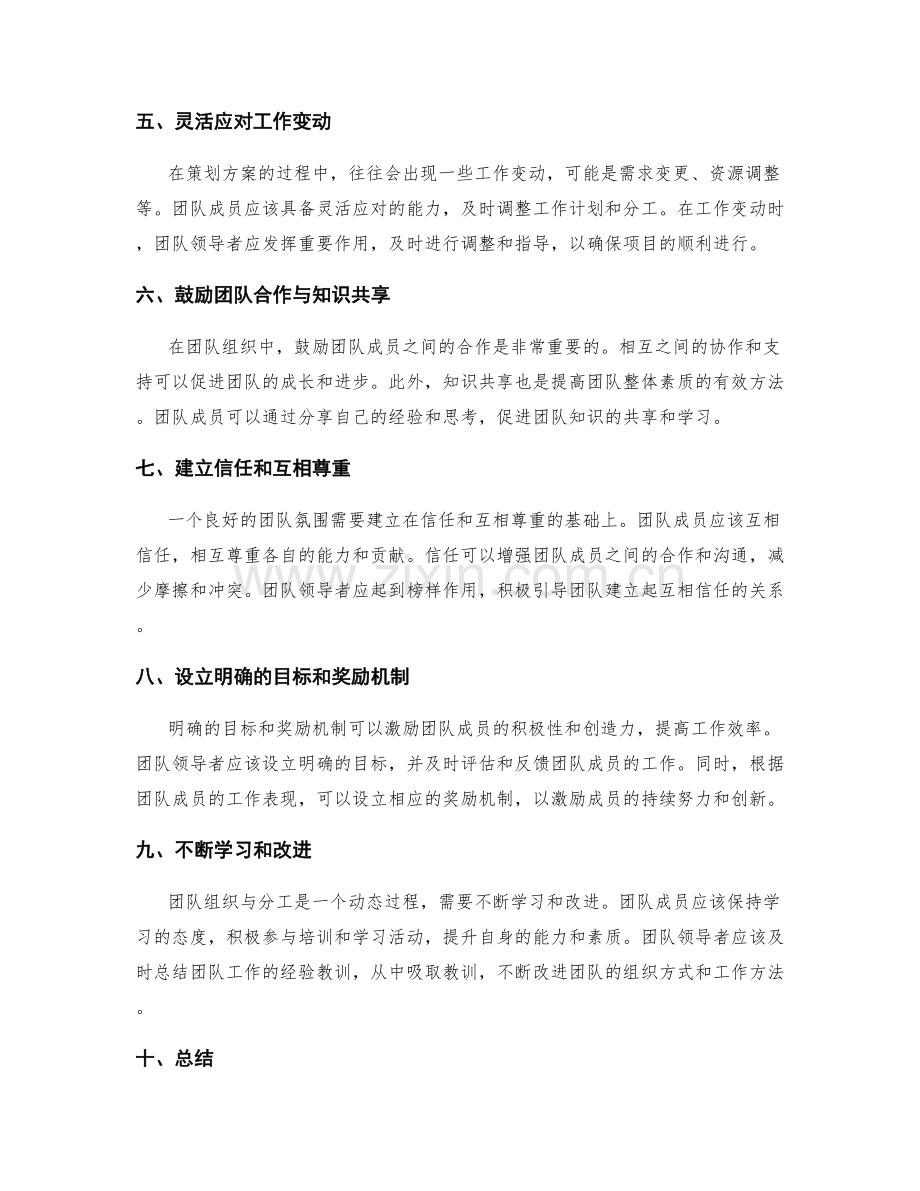 策划方案的团队组织与分工.docx_第2页