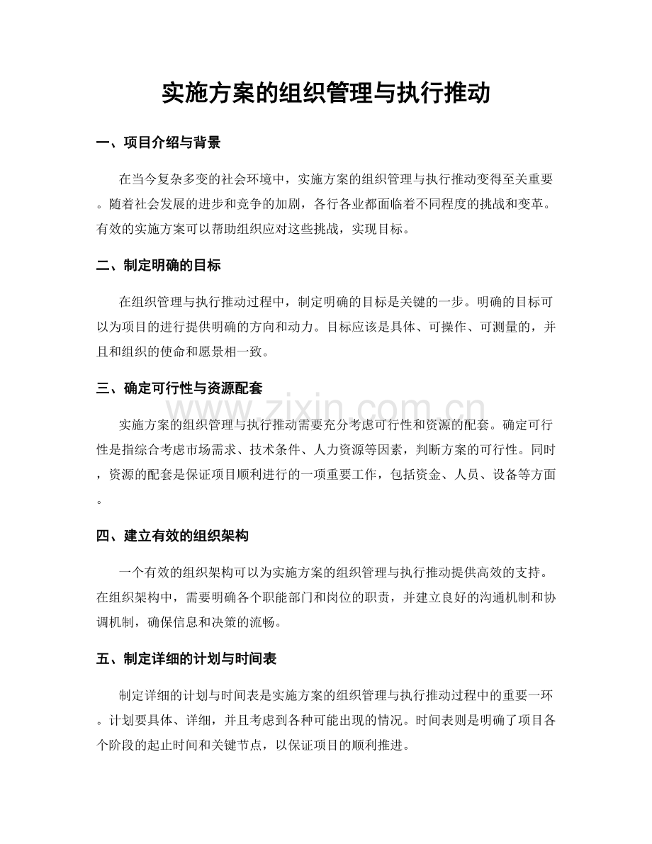 实施方案的组织管理与执行推动.docx_第1页