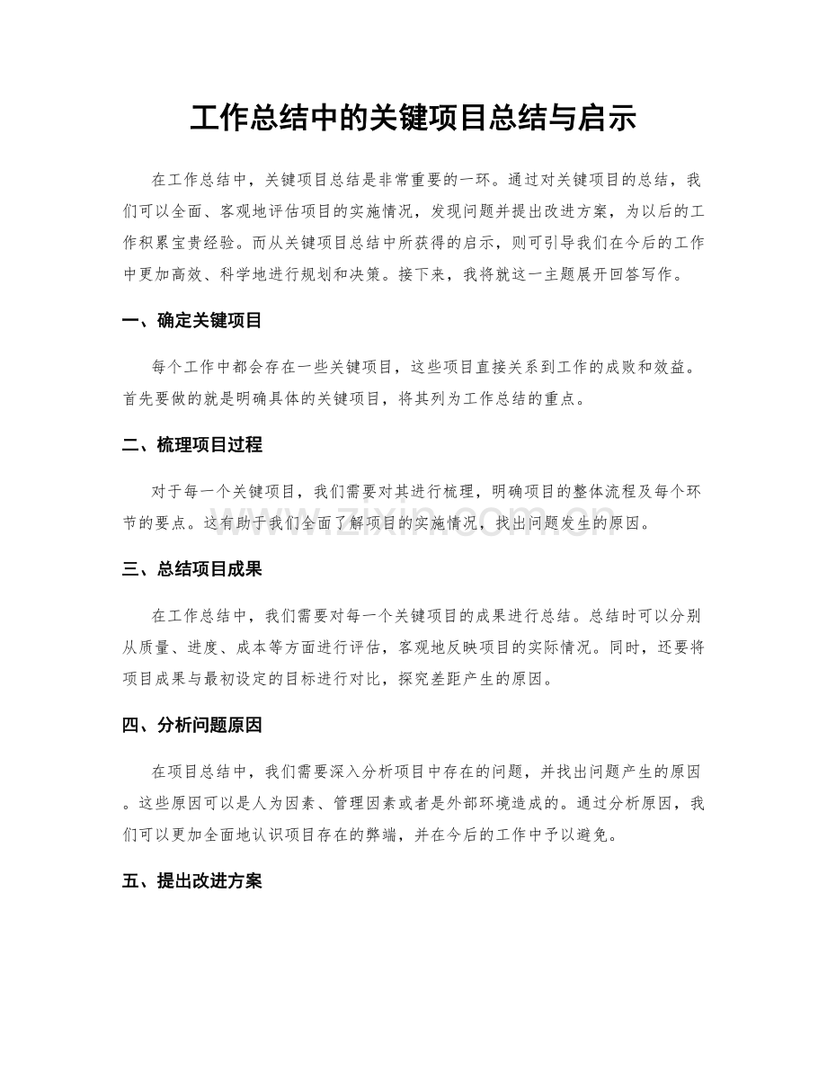 工作总结中的关键项目总结与启示.docx_第1页