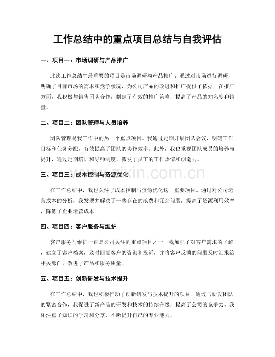 工作总结中的重点项目总结与自我评估.docx_第1页