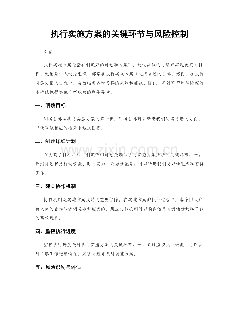 执行实施方案的关键环节与风险控制.docx_第1页