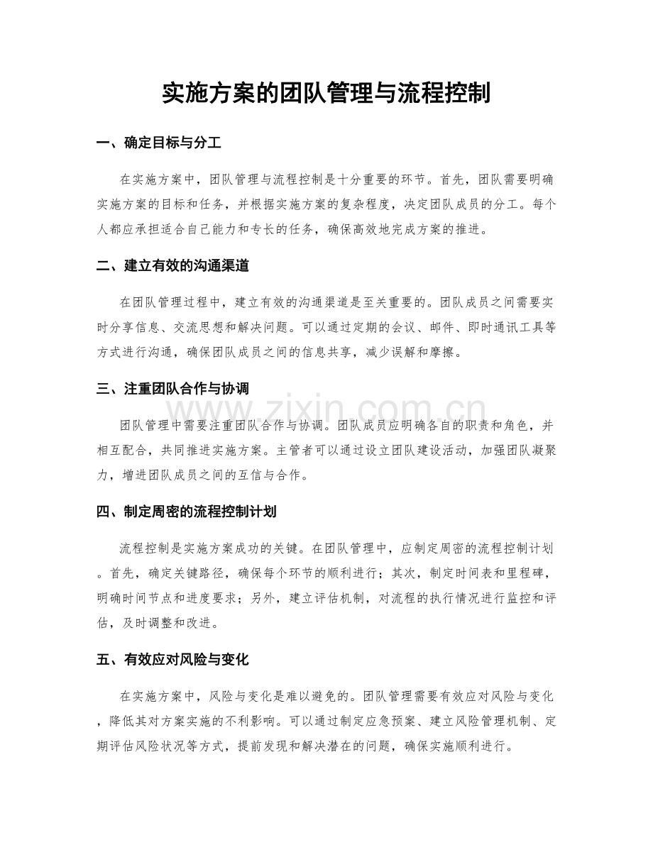 实施方案的团队管理与流程控制.docx_第1页