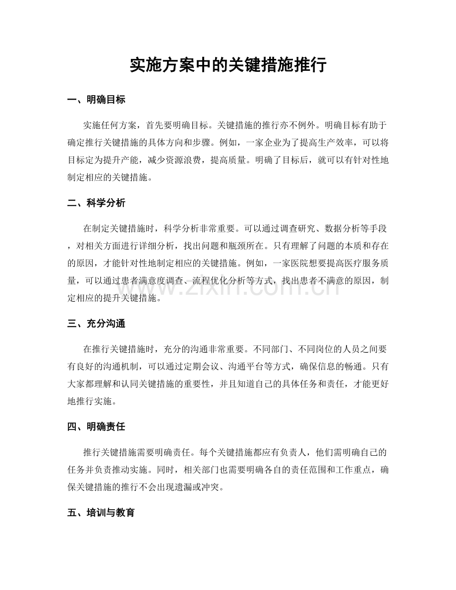 实施方案中的关键措施推行.docx_第1页