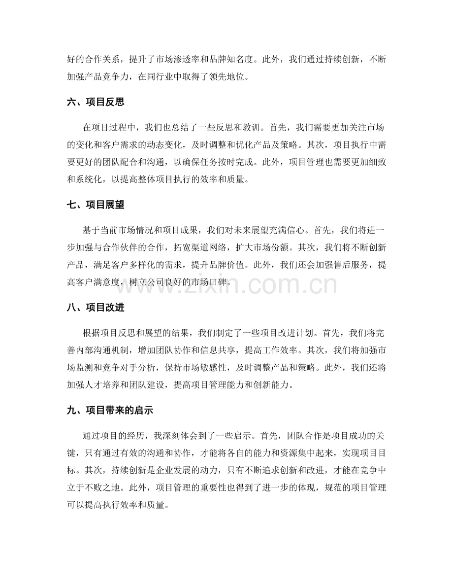 年终总结的项目分析.docx_第2页