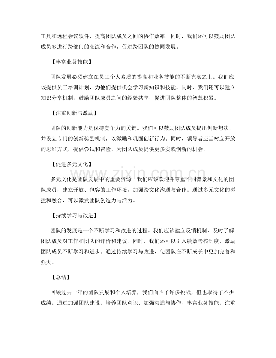 年终总结的团队发展和人员培养建议.docx_第2页