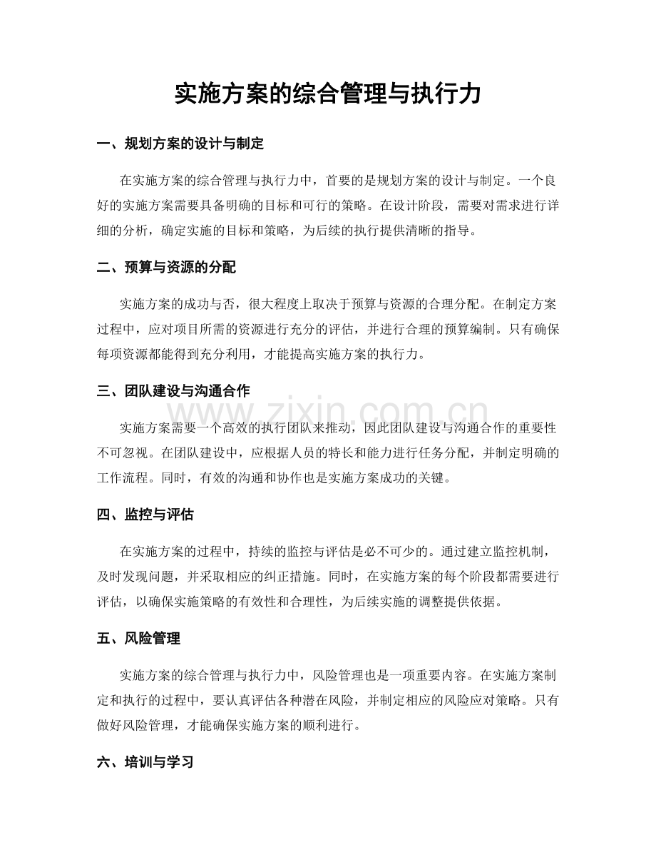 实施方案的综合管理与执行力.docx_第1页