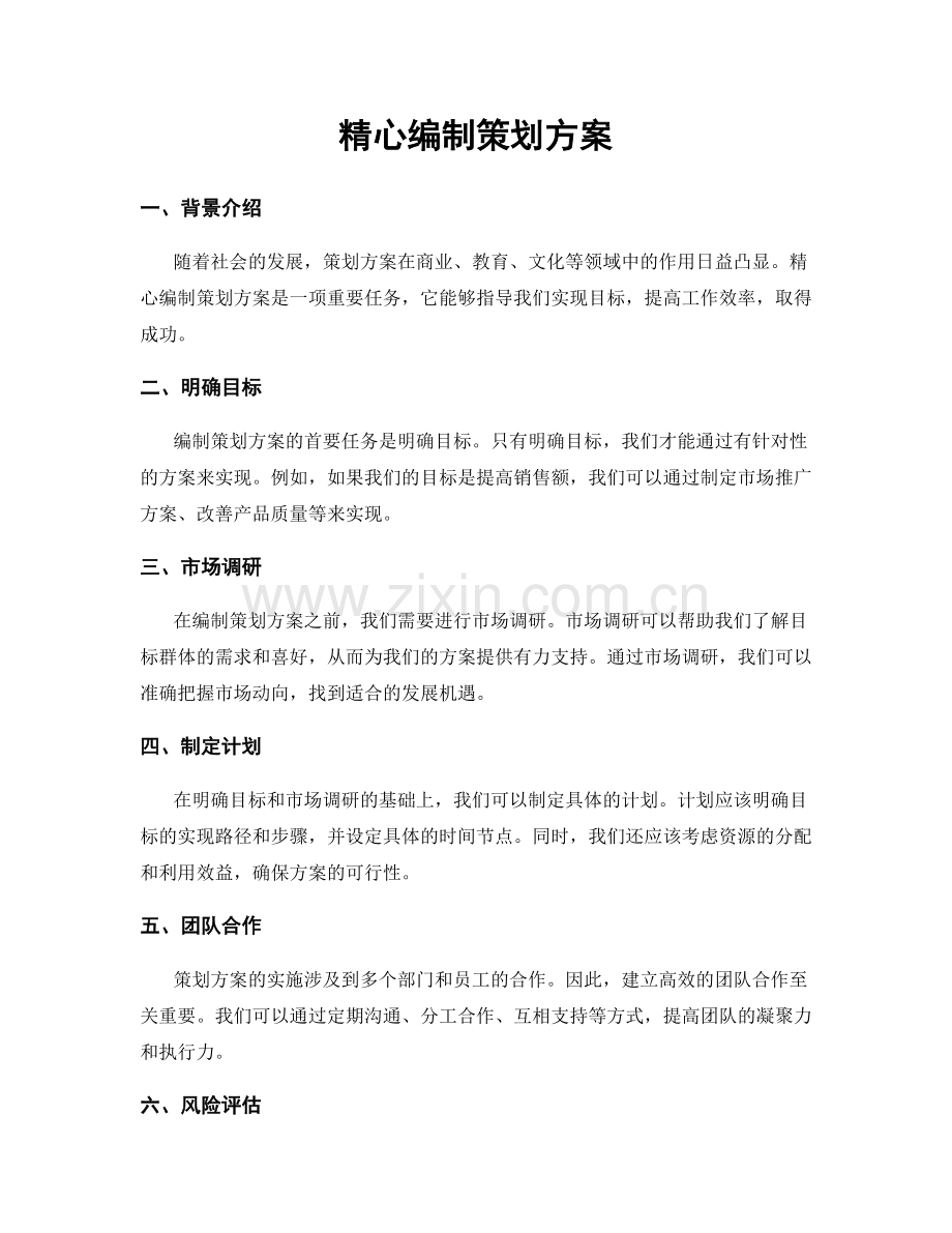 精心编制策划方案.docx_第1页