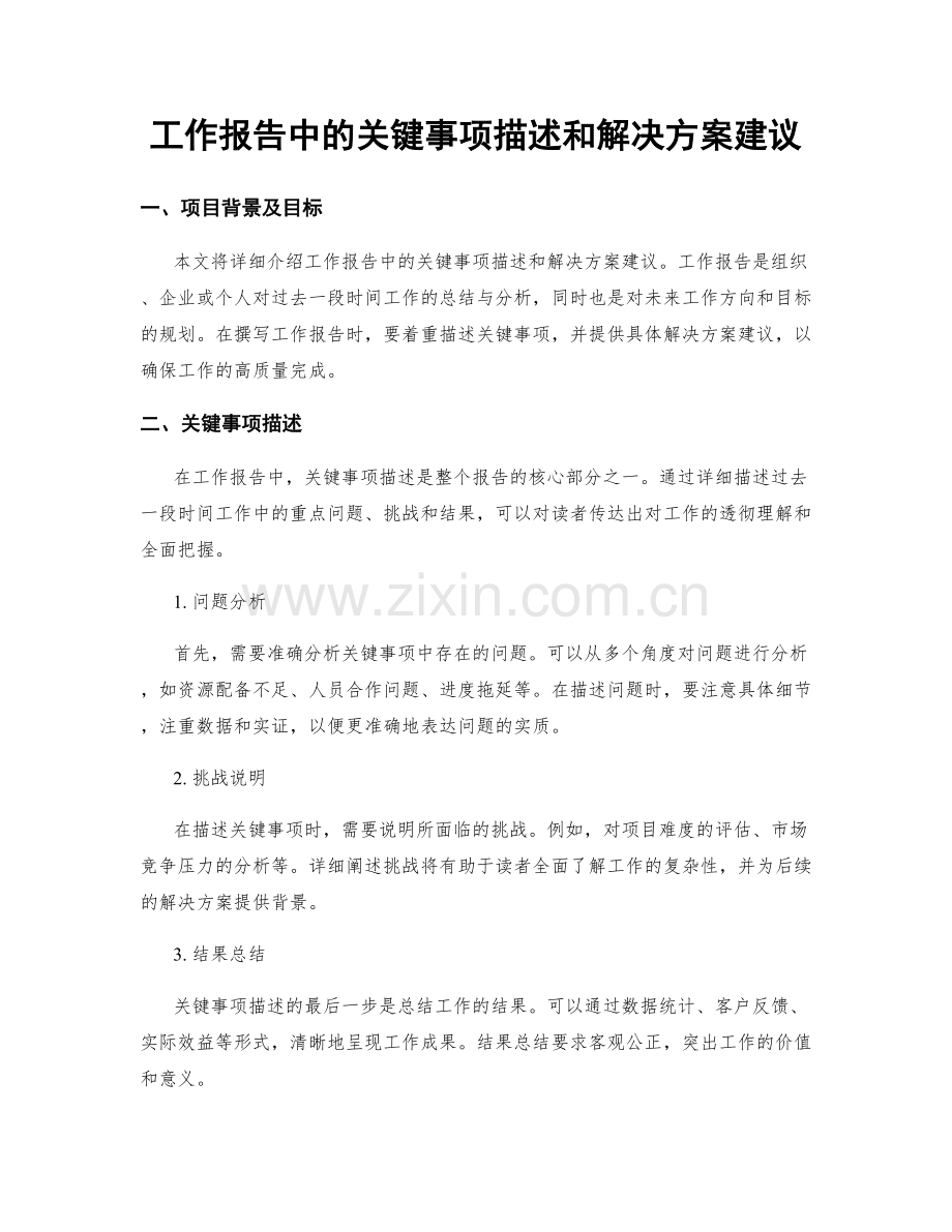 工作报告中的关键事项描述和解决方案建议.docx_第1页