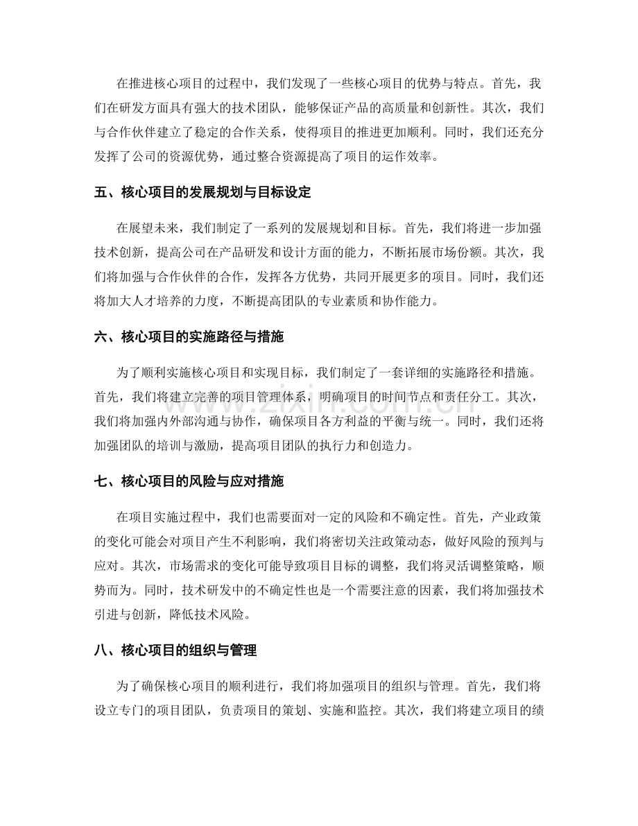 年终总结的核心项目总结与发展规划实施路径.docx_第2页