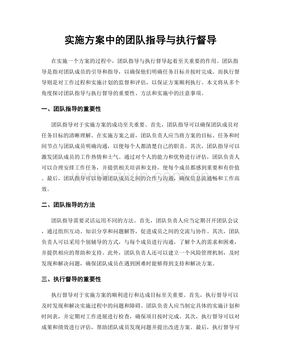 实施方案中的团队指导与执行督导.docx_第1页