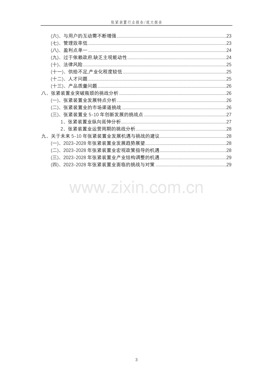 2023年张紧装置行业分析报告及未来五至十年行业发展报告.doc_第3页