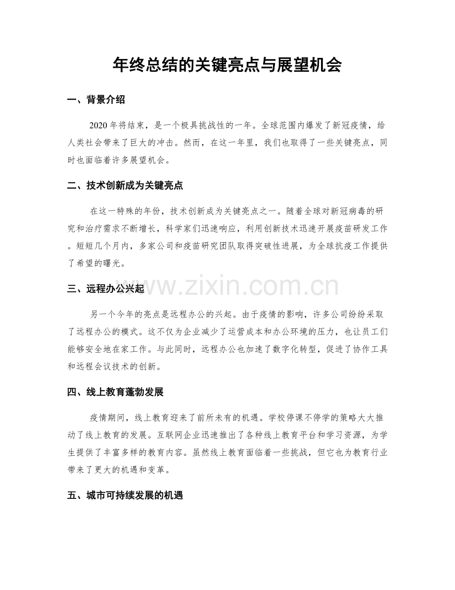 年终总结的关键亮点与展望机会.docx_第1页