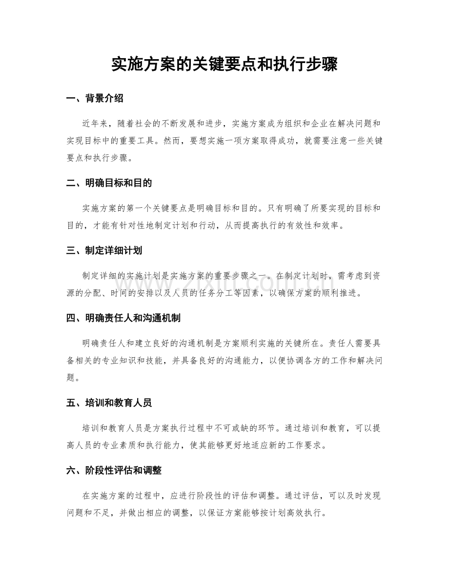 实施方案的关键要点和执行步骤.docx_第1页