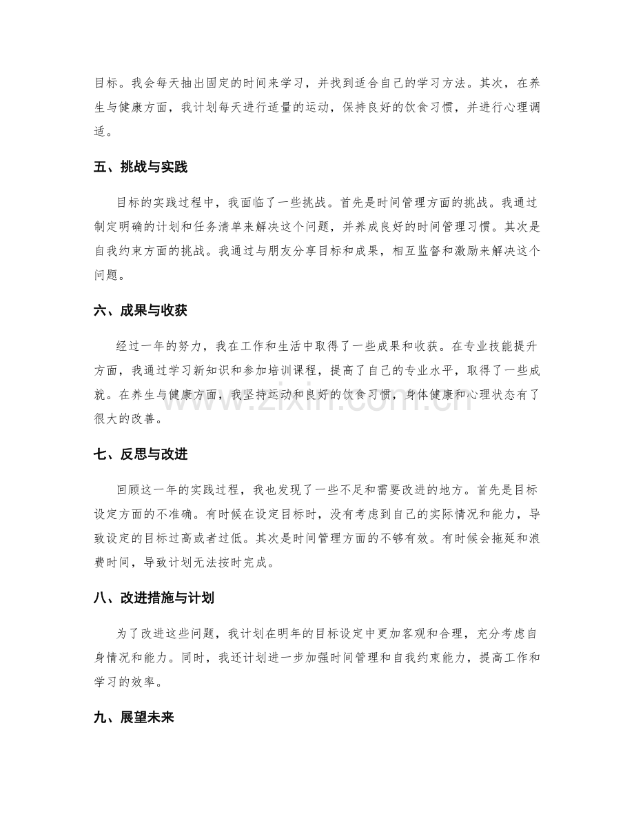 年终总结的目标设定与实践挑战.docx_第2页