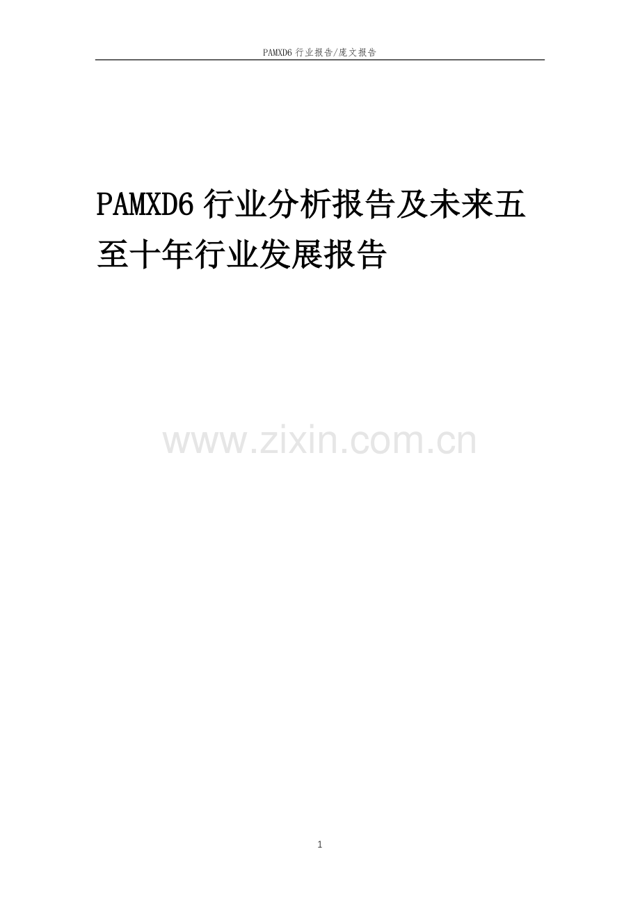 2023年PAMXD6行业分析报告及未来五至十年行业发展报告.doc_第1页