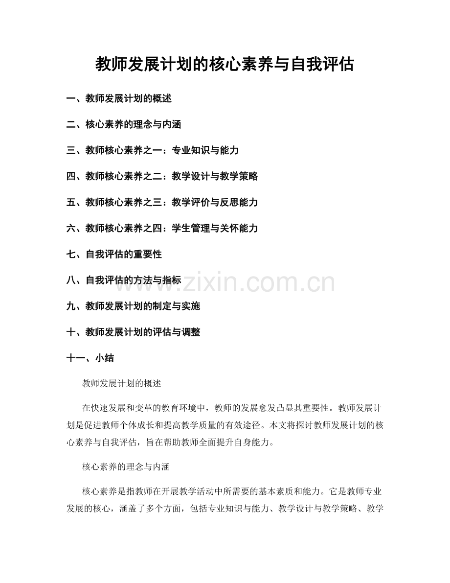 教师发展计划的核心素养与自我评估.docx_第1页