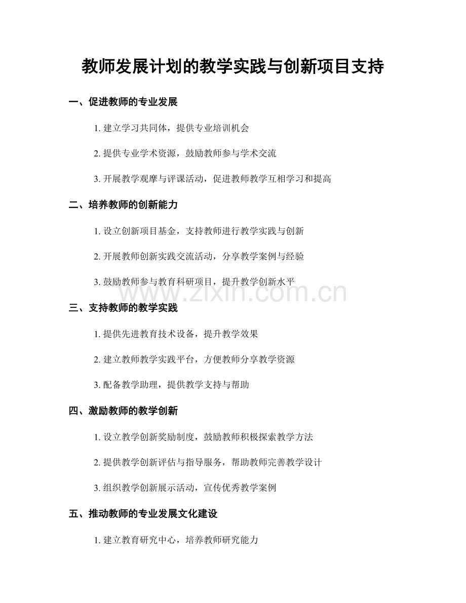 教师发展计划的教学实践与创新项目支持.docx_第1页