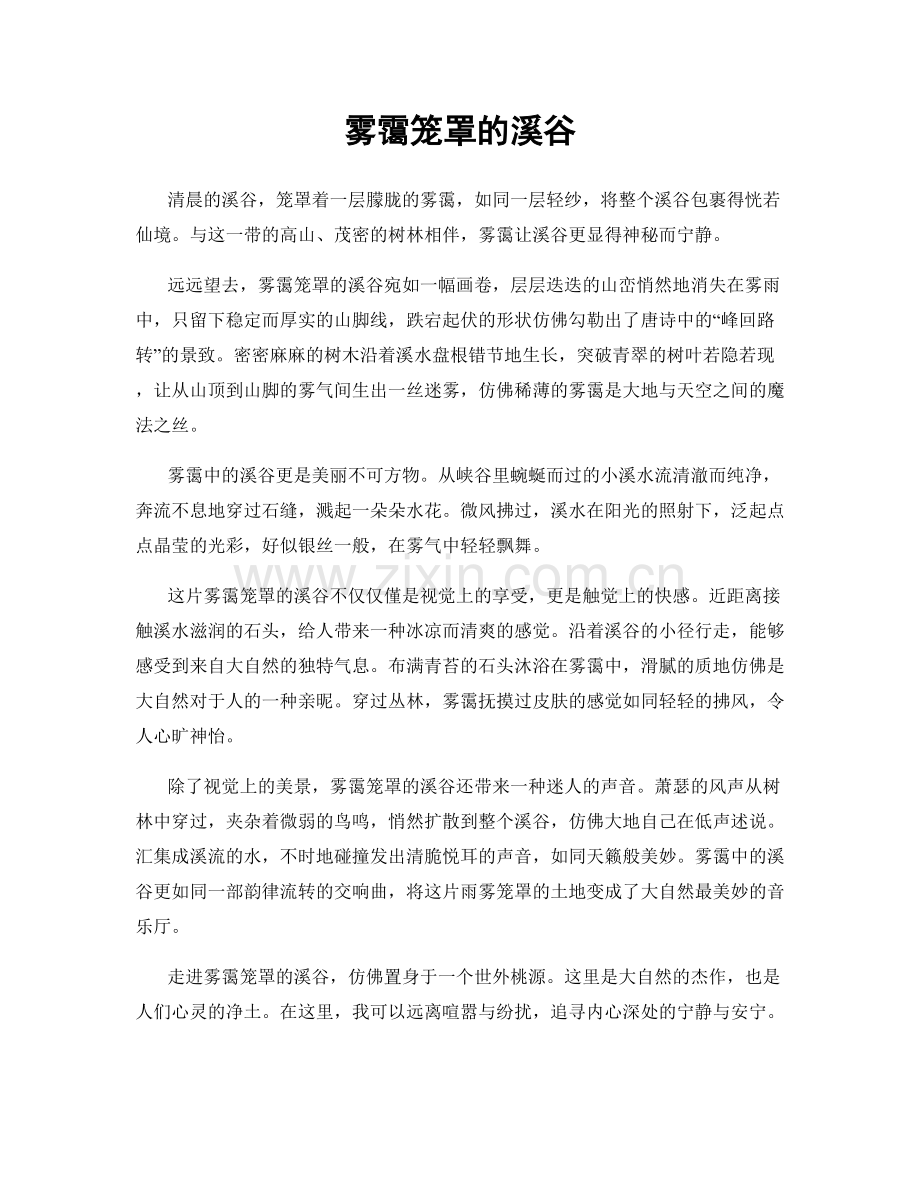 雾霭笼罩的溪谷.docx_第1页