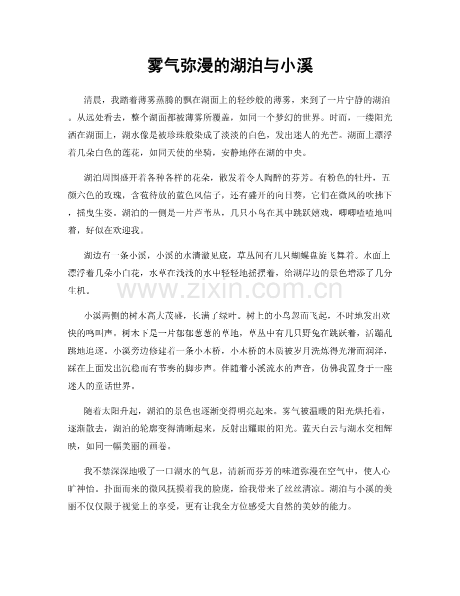 雾气弥漫的湖泊与小溪.docx_第1页