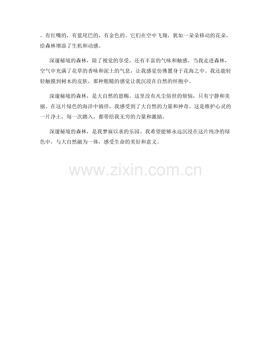 深邃秘境的森林.docx_第2页