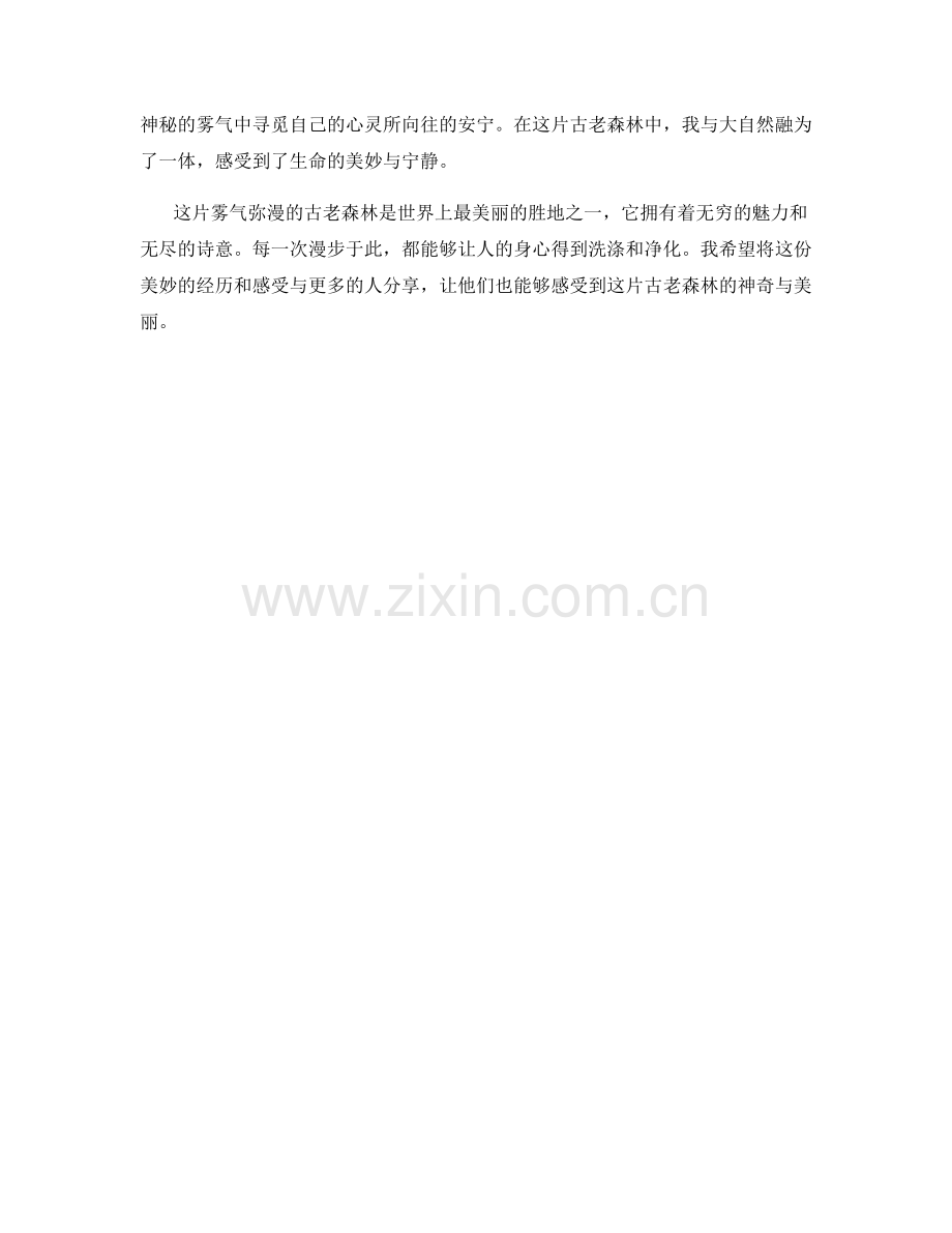 雾气弥漫的古老森林.docx_第2页