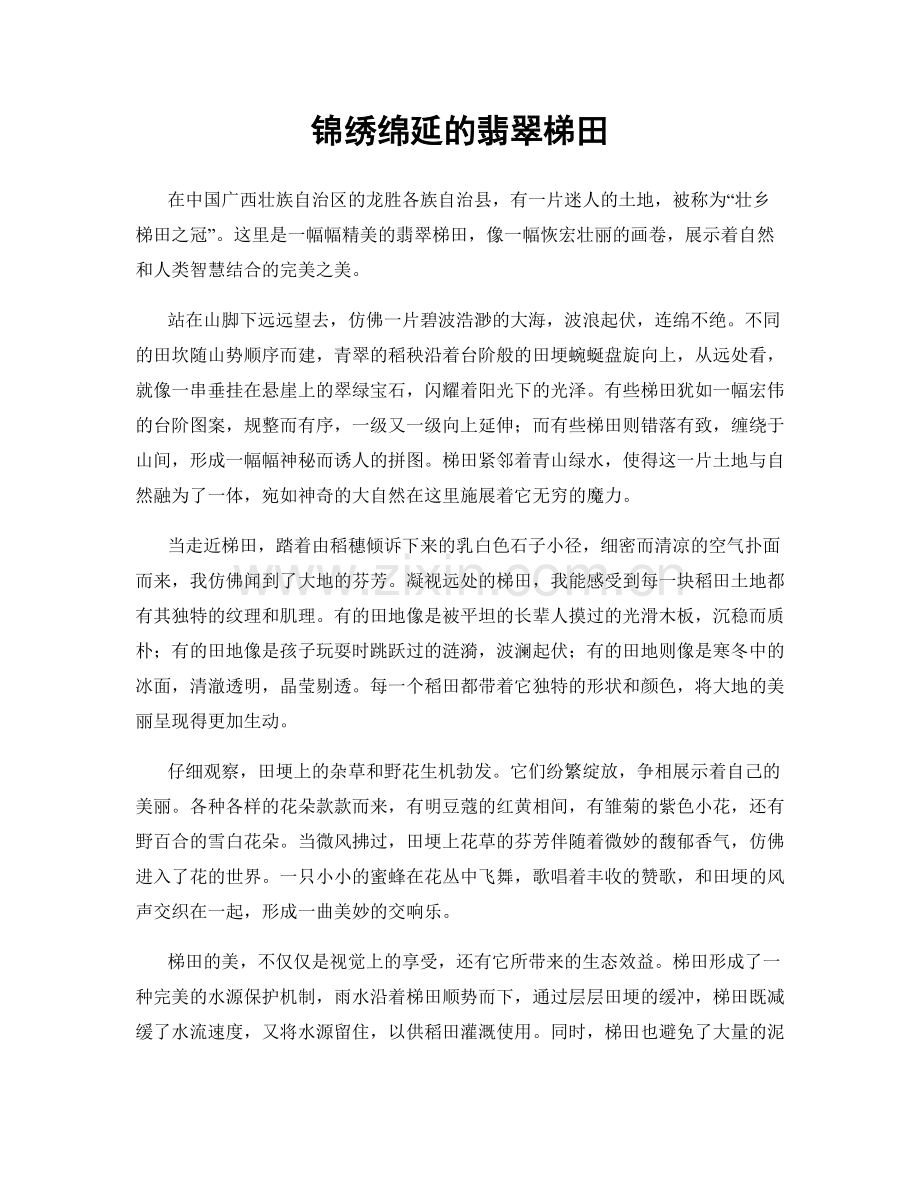 锦绣绵延的翡翠梯田.docx_第1页