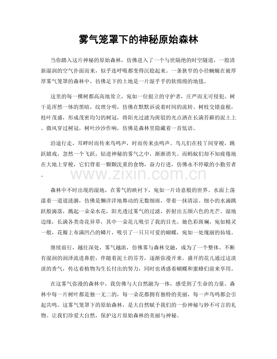 雾气笼罩下的神秘原始森林.docx_第1页