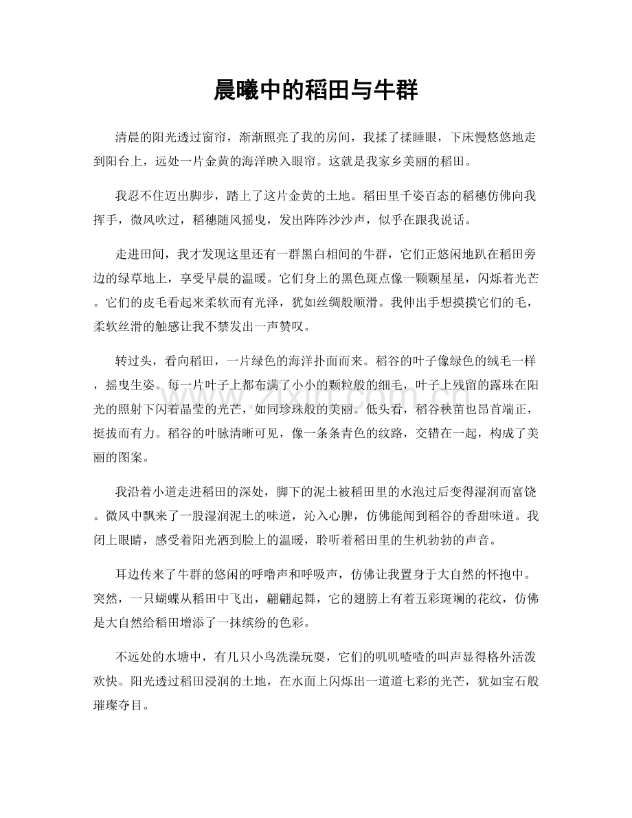 晨曦中的稻田与牛群.docx_第1页