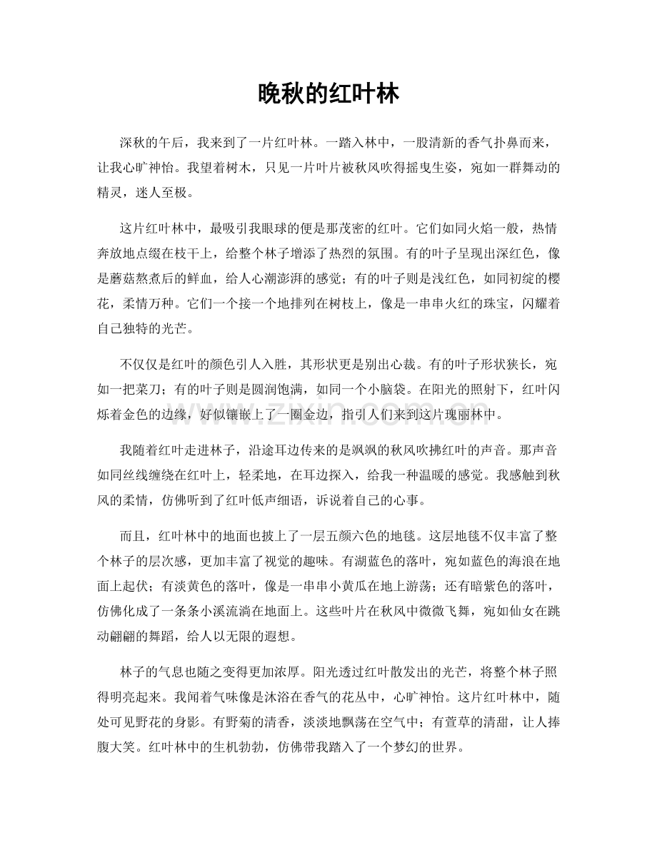 晚秋的红叶林.docx_第1页