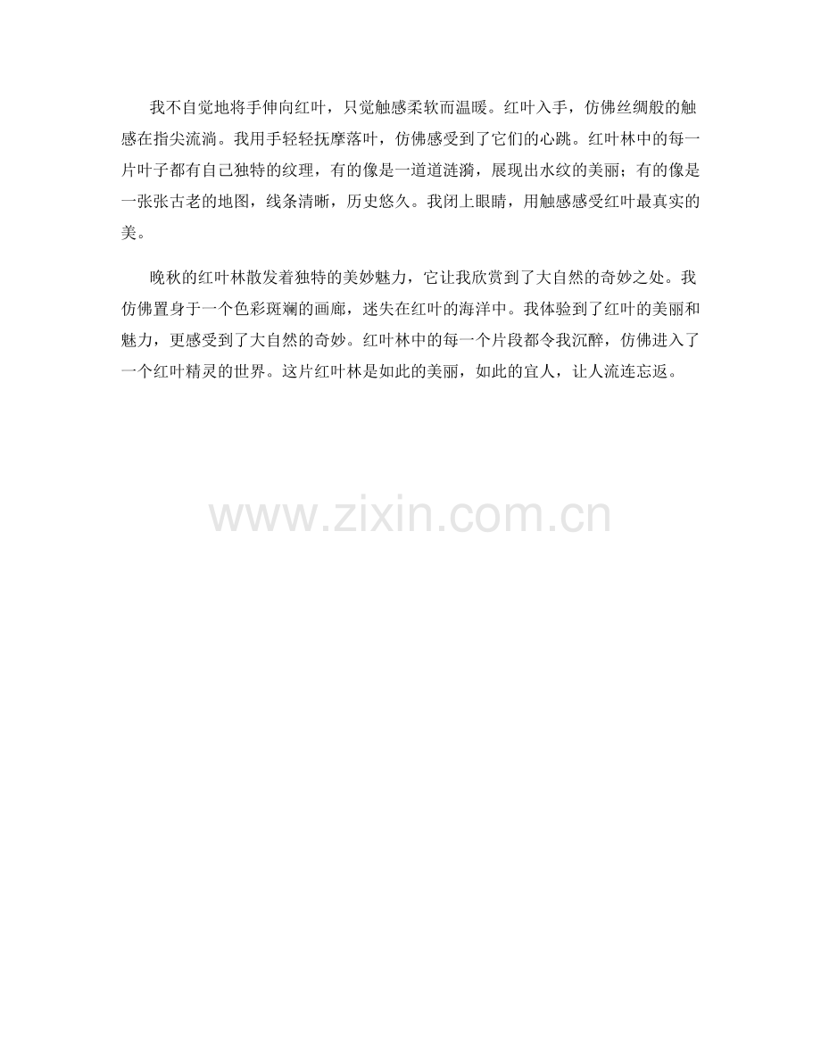 晚秋的红叶林.docx_第2页