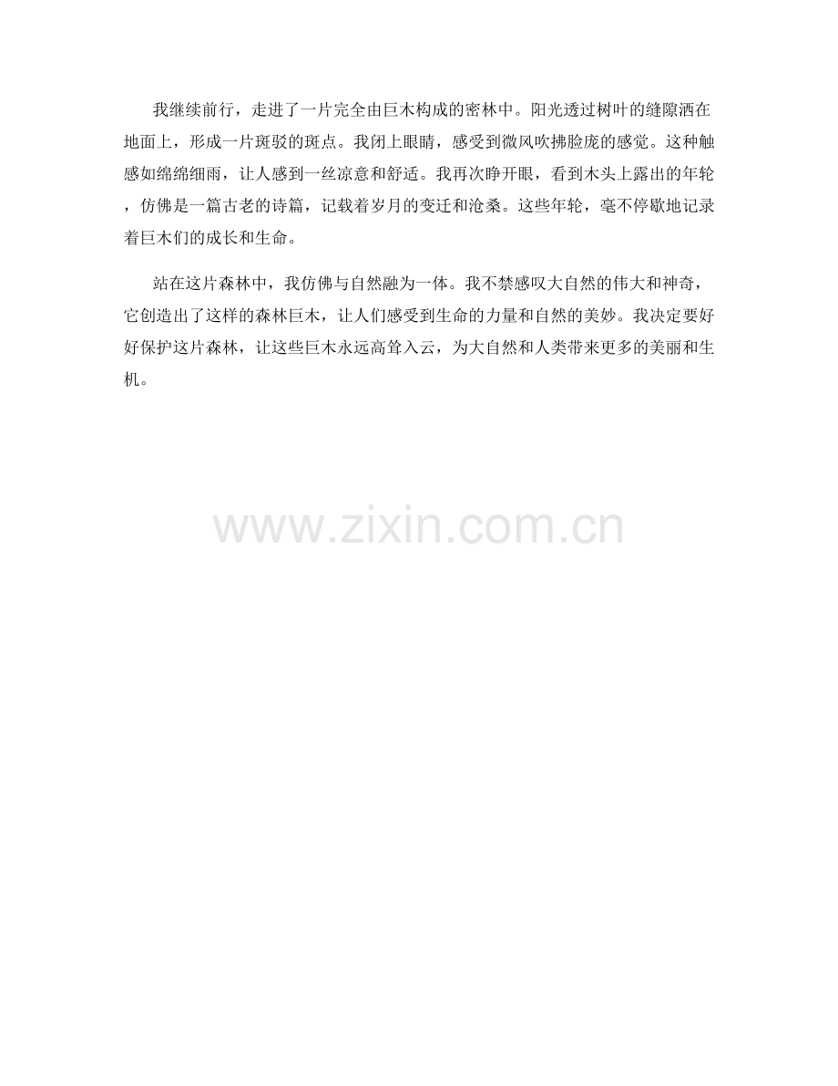 高耸入云的森林巨木.docx_第2页