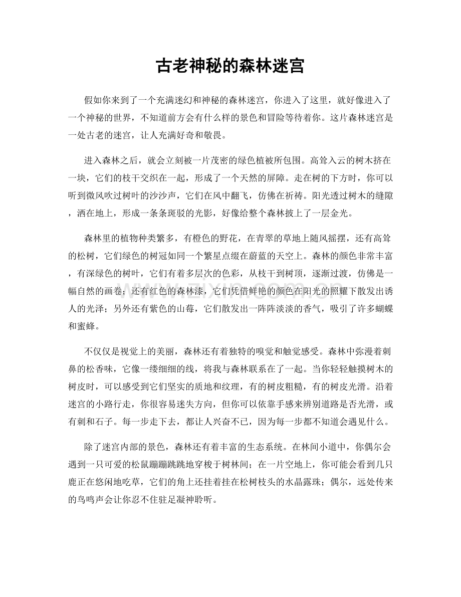 古老神秘的森林迷宫.docx_第1页