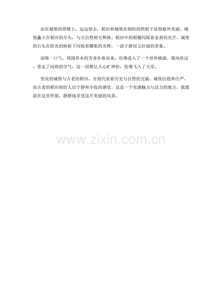 坚实的城堡与古老的稻田.docx_第2页