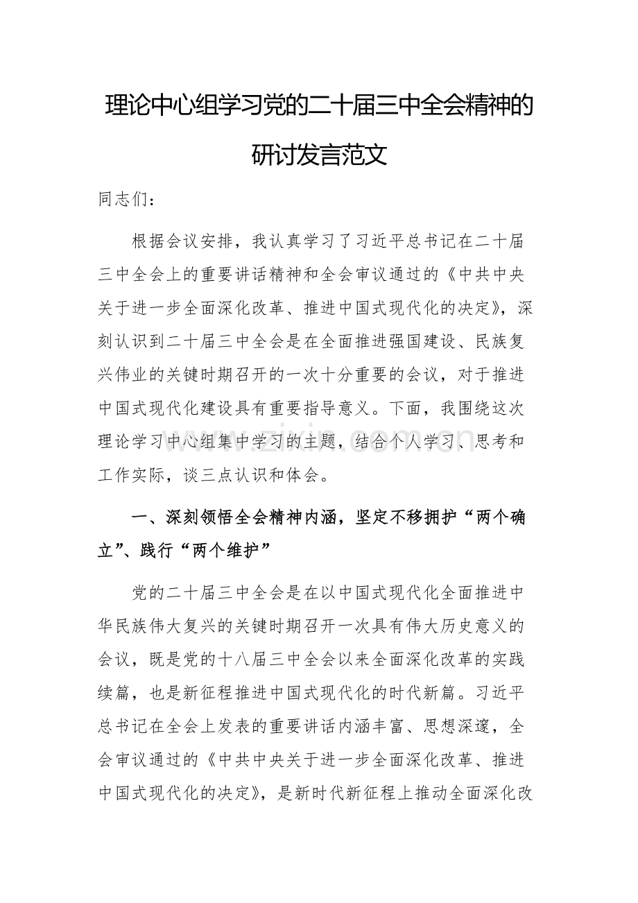 理论中心组学习党的二十届三中全会精神的研讨发言范文.docx_第1页