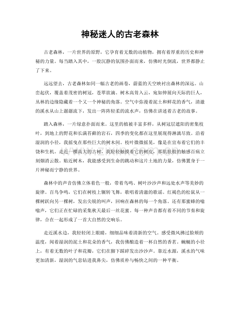 神秘迷人的古老森林.docx_第1页