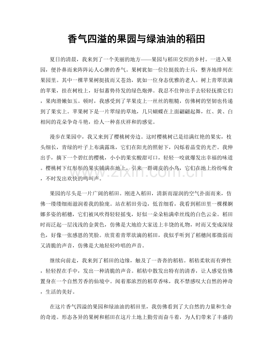 香气四溢的果园与绿油油的稻田.docx_第1页