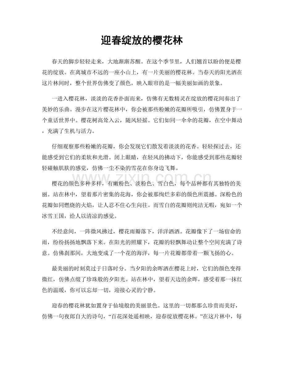 迎春绽放的樱花林.docx_第1页