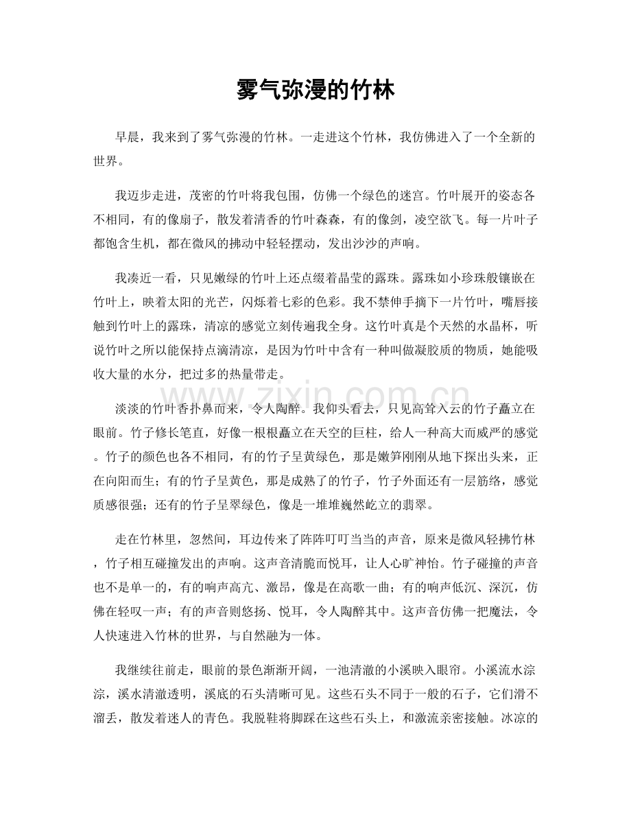 雾气弥漫的竹林.docx_第1页