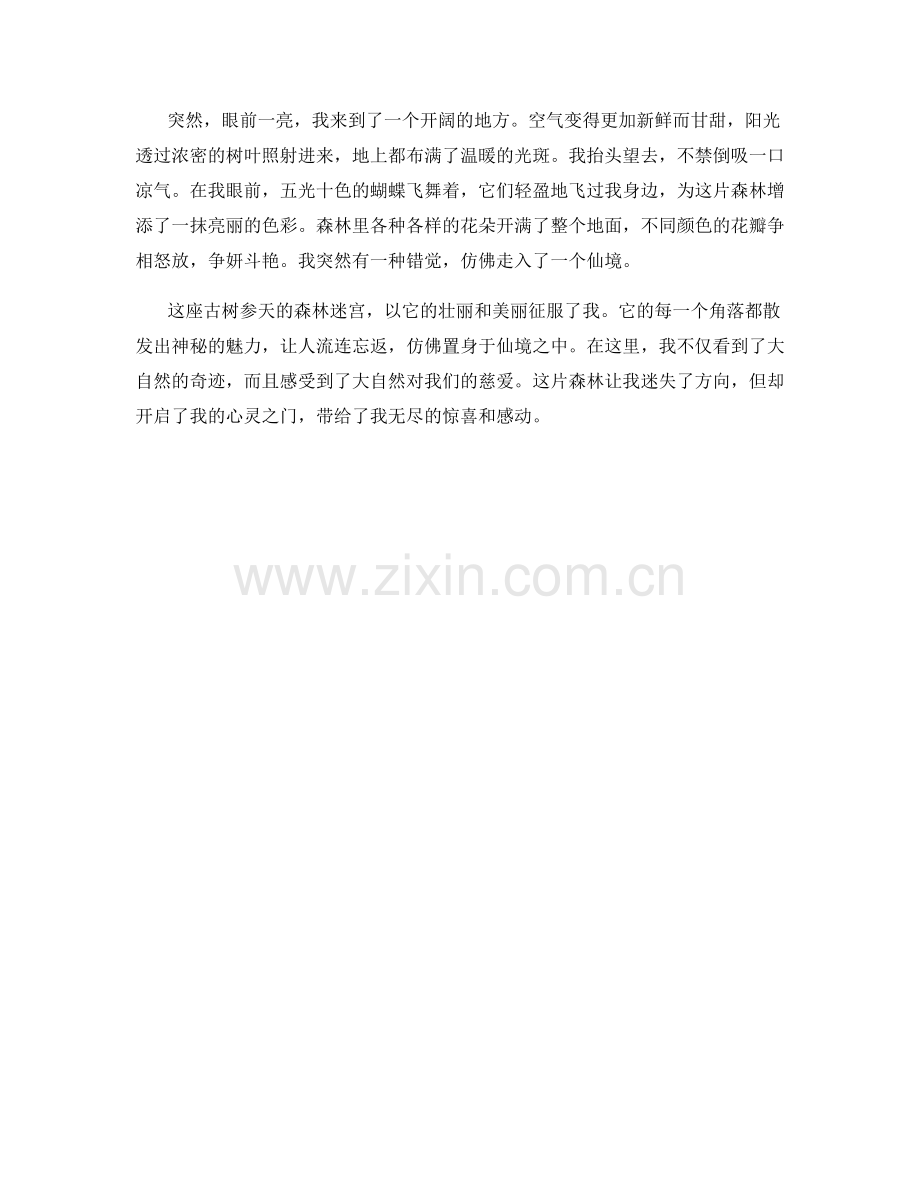 古树参天的森林迷宫.docx_第2页